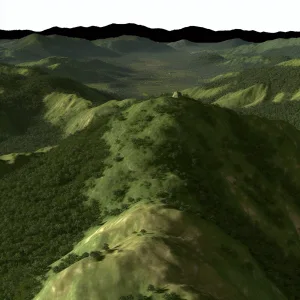 Hamburger Hill